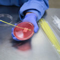 Safety Testing: Everything You Need to Know